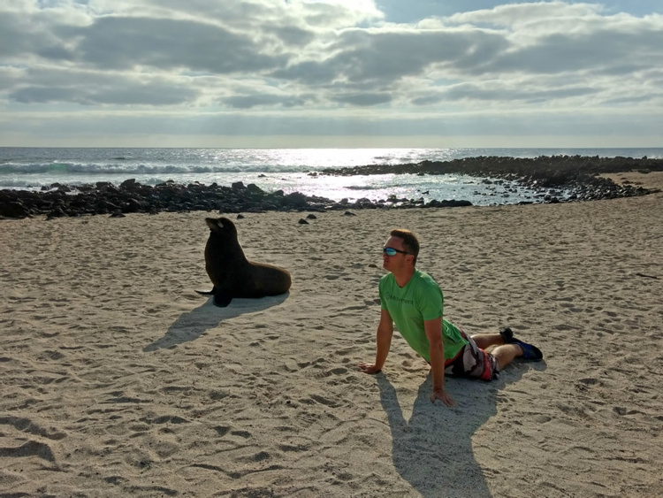 Lobería Beach Tour  photo